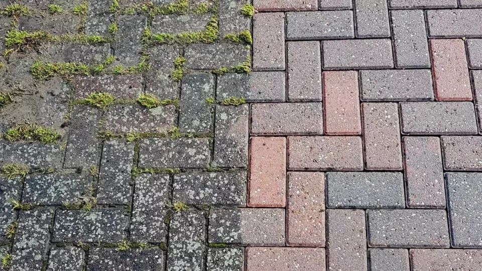 Траву на дорожках не рву и ничем не поливаю: секунда — и сорняков нет — жаль, раньше не догадался так делать