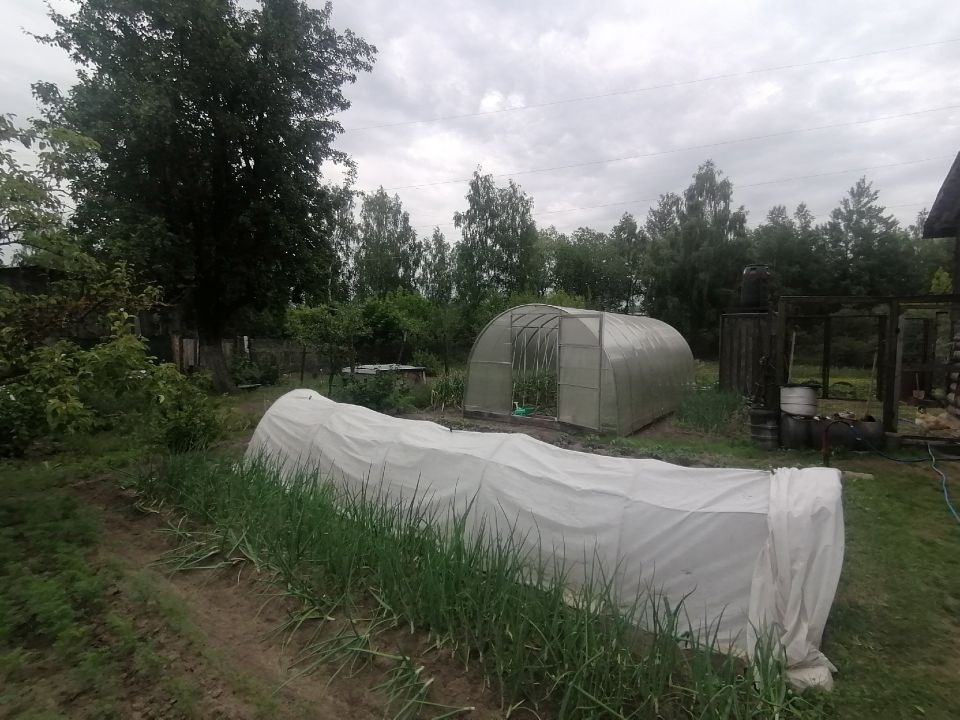 В конце апреля — обязательно: 1 раз брызнула на клубнику — долгоносик не показывается все лето