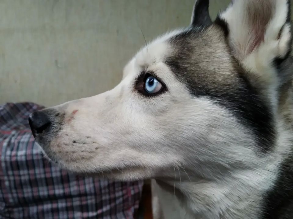        :   3    
