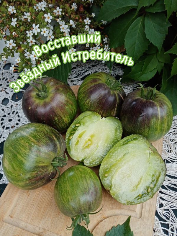 Томат, который стал настоящим открытием для гурманов: невероятный вкус и уникальный внешний вид