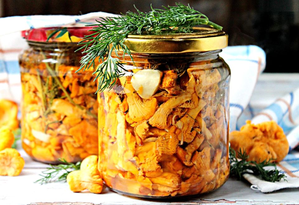 Как мариновать лисички с укропом: секреты изысканного угощения