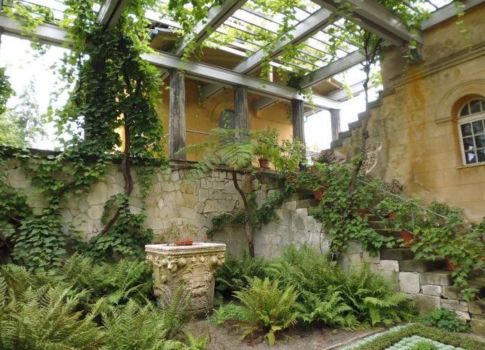 Как успешно справиться с заросшими растениями