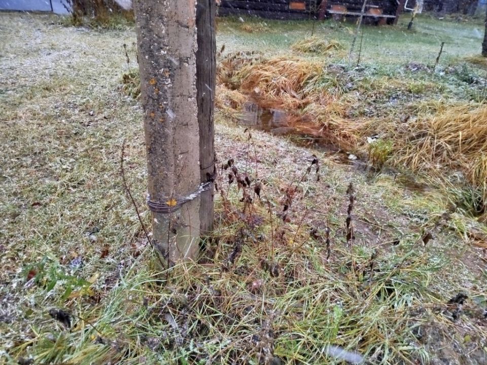 ����������� �������� ����� �� ����� �������: ���������� ���� ��� ������