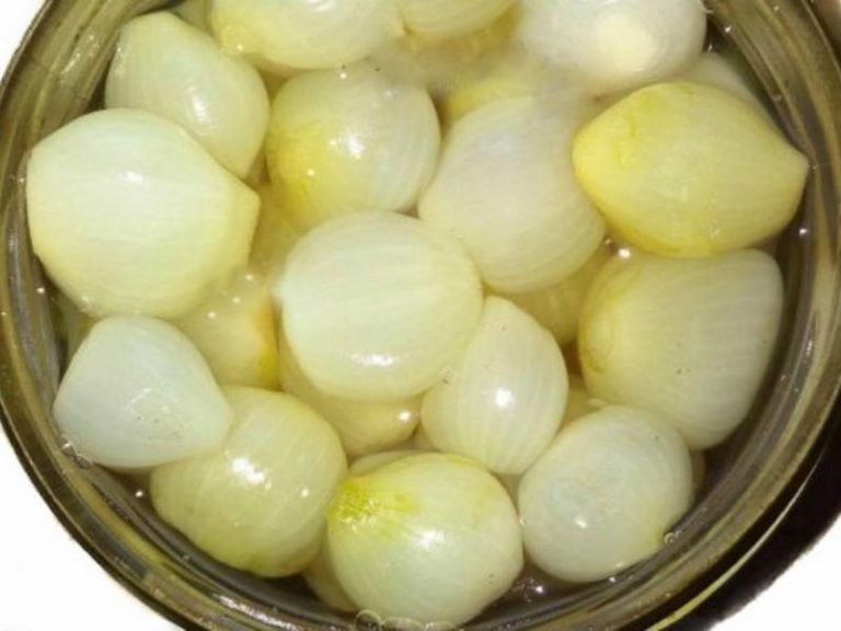 Лук-севок: хрустящий и ароматный гарнир на зиму