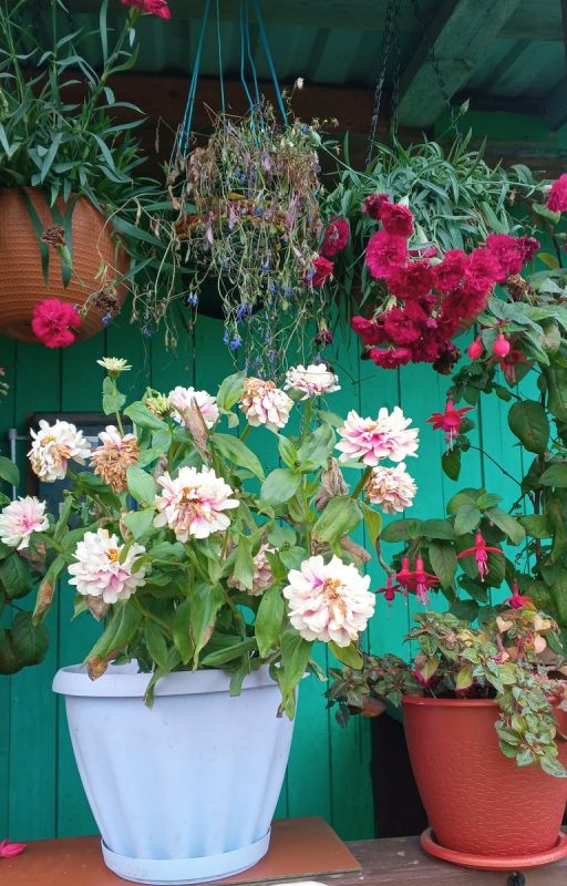 Как найти гармонию в жизни и освободиться от стресса