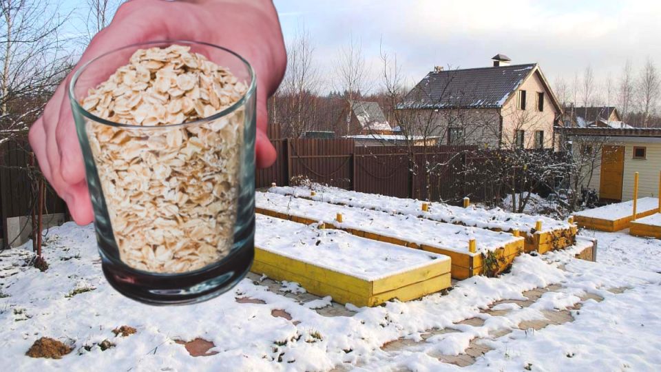 ������������ ������������: ��� ������� ����� �������� ����� �� ����?