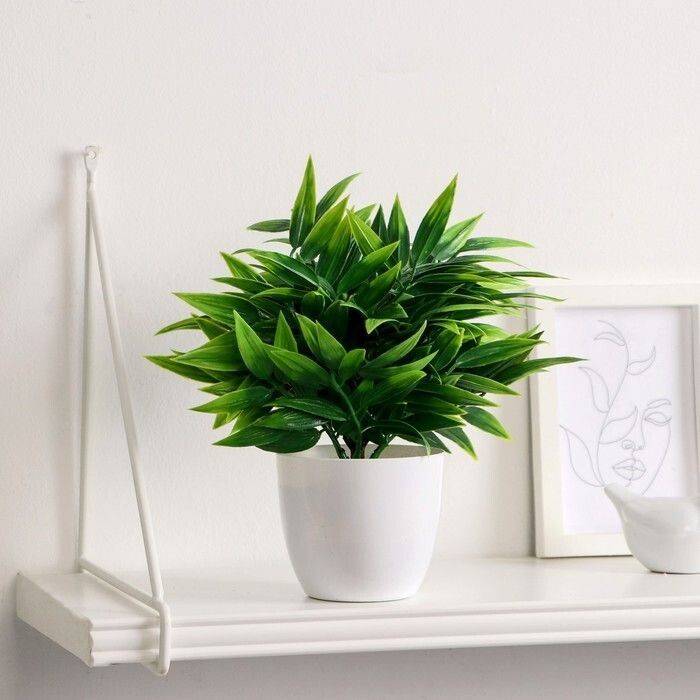 ��� ������� ���� �������� ��������� ����������: 7 ������� ���������