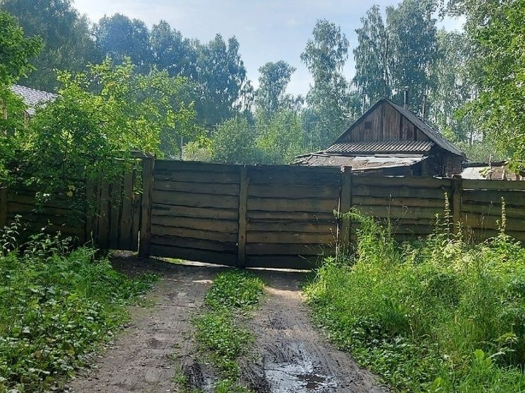 Почему зумеры выбирают садоводство: от цифровой реальности к зеленым оазисам