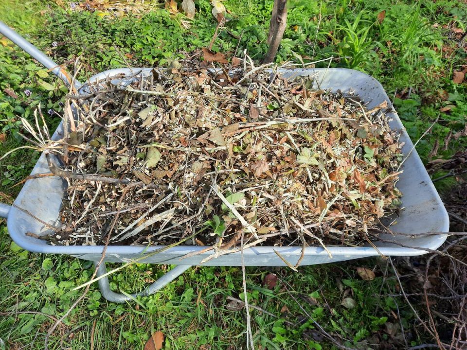 ������ ������: ��� �������� ������� ��������� ������� ��� ��������