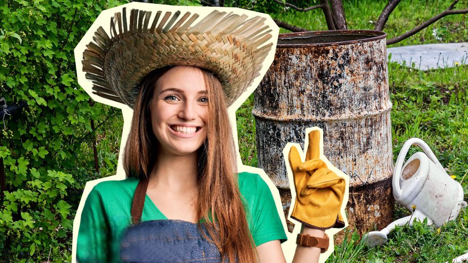 ������� ������� ����� �������� �� ���� ���: �� �������� ����� ������