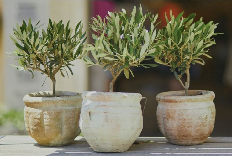 ��� ���������� ������ ������� ���������� ������ � �������� ��������?