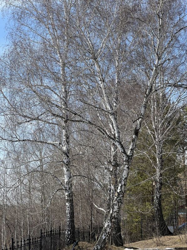 ��������� ������: ��������� ������� ��� ������ ����