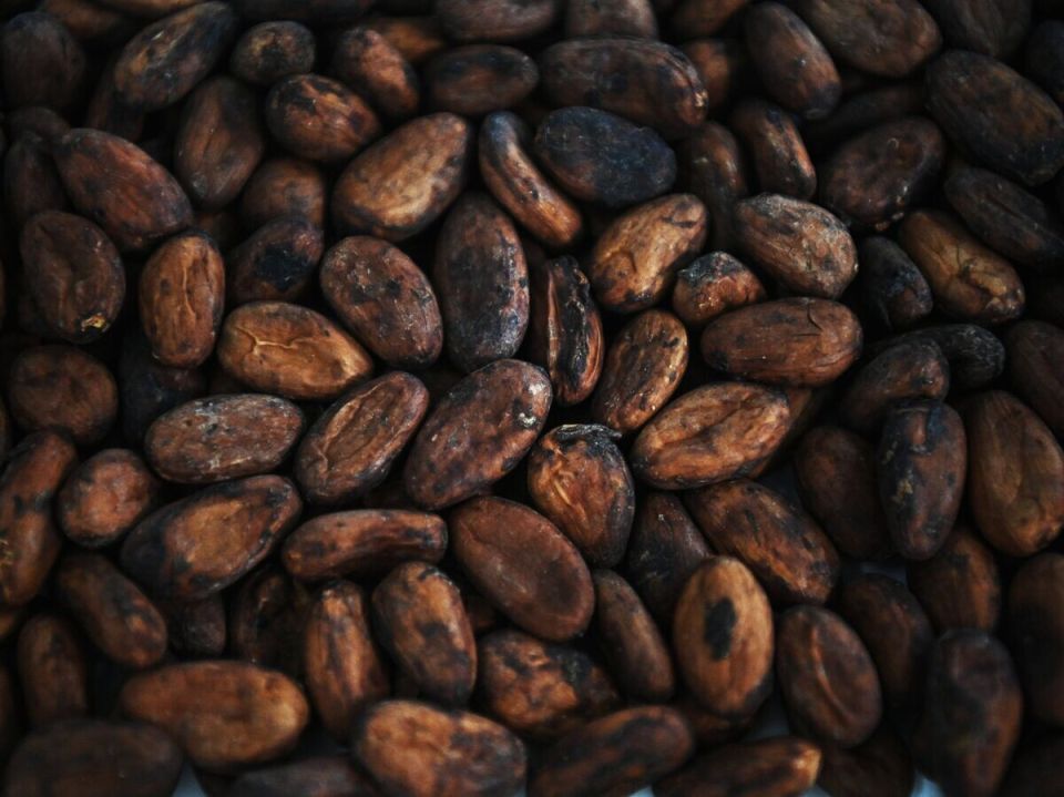 ������� ���� �� �����-����: ������������ ���� ��� ������� �����