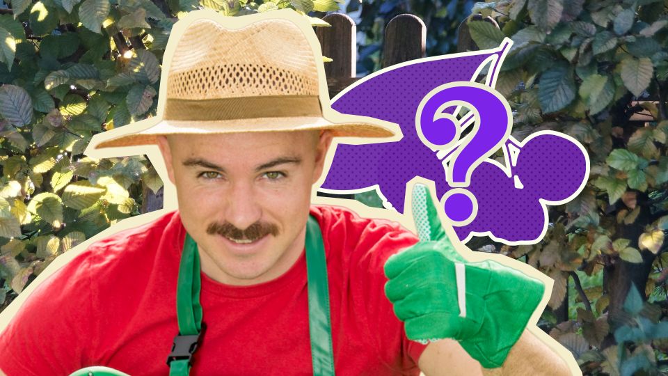 ��� ����� ����� ������ ��������� ��������� �����: ���������� �� ��������