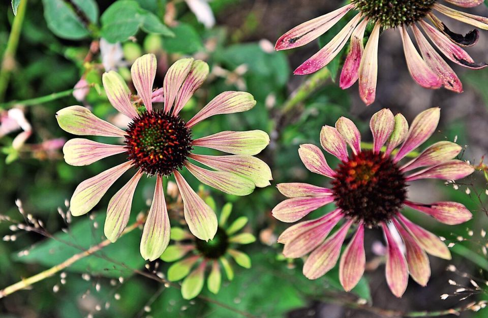 10 ���� ��� ��������������� ������ ���� � 2026 ����