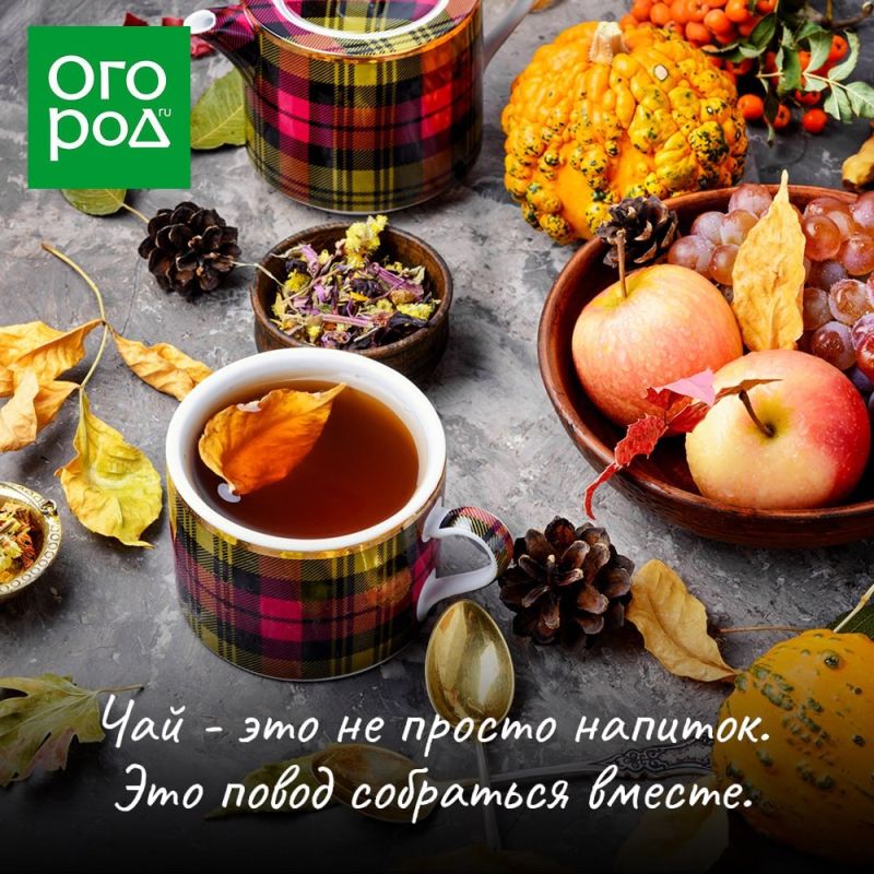 �������� ����� ������� �����