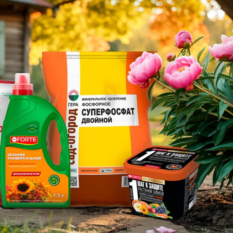 ������ ������� ��������� ����� ��� ����� ��������