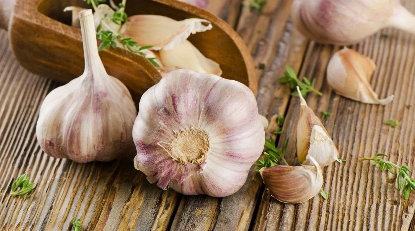 ������: ������������ ��� ������� � ���������� �������� �������