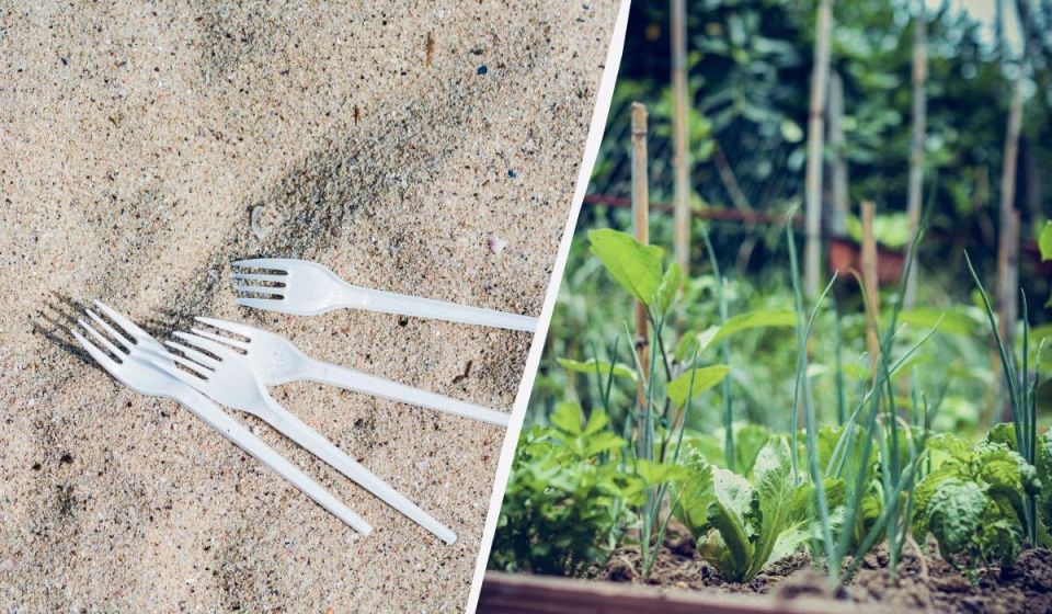 ��������� �������� �����������: ��� ����������� ����� ����� ������ ������