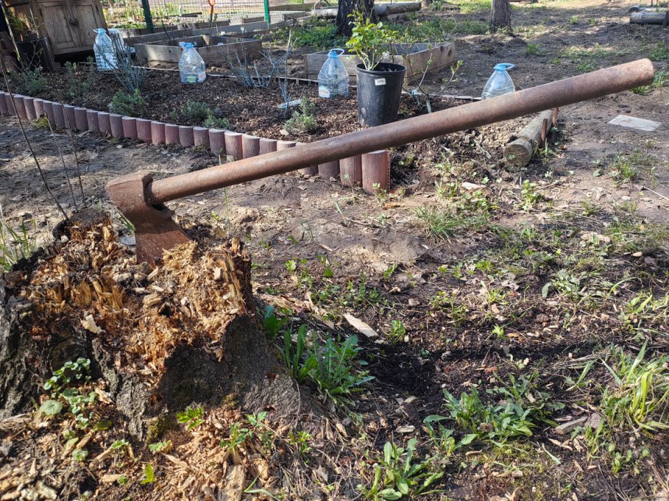 ����������� ������ �������� ����