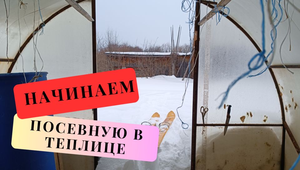 ������� �������: ��� ������� ������ ���� � ������