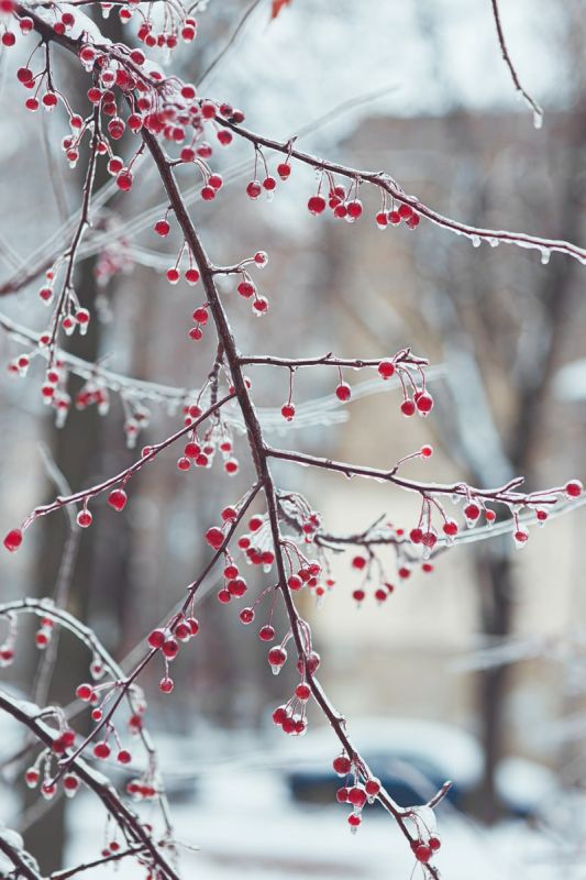 ������ 2026: ������ ���� � ������