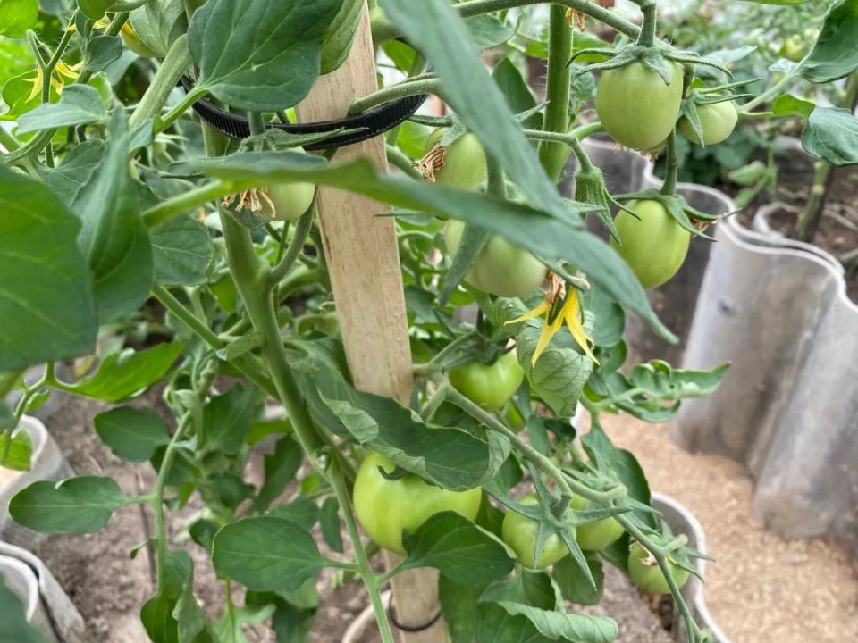 ������ ��������� ������: ��� ������ ���������� ��� ������ � ������� ���