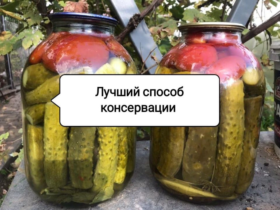 Зимние заготовки: секреты сохранения витаминов в домашних условиях