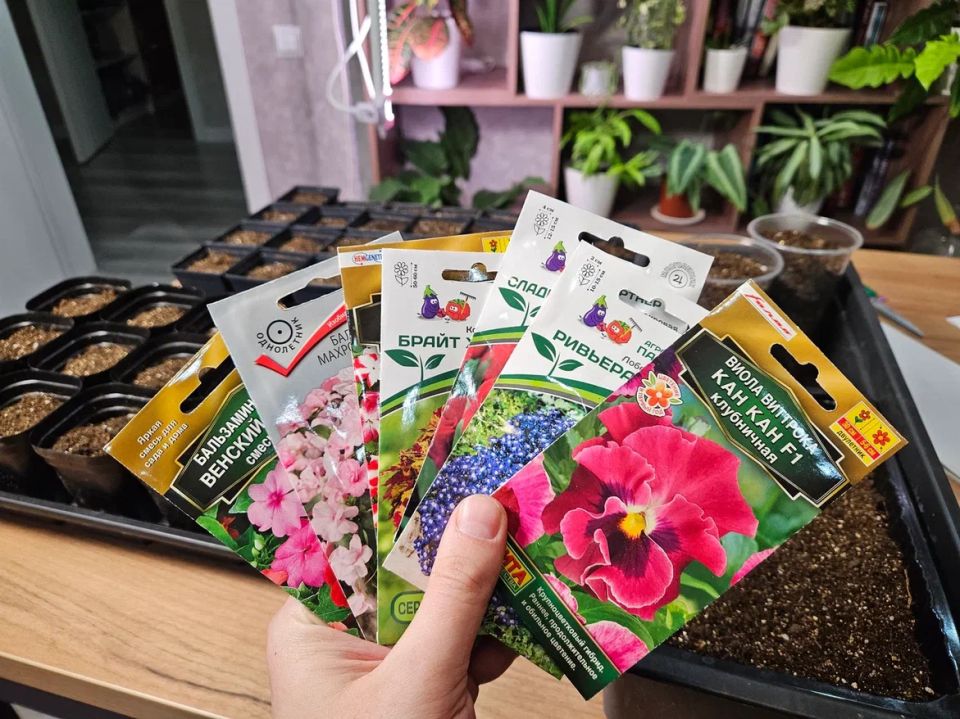 ��� ��������� ������ �����: ���������� ��������, ������� ����� ������� ��� � ������