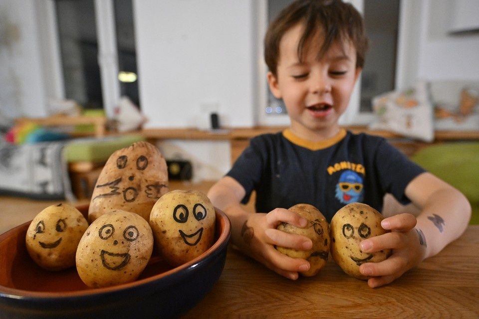 Хороший урожай в России: как это повлияет на цены