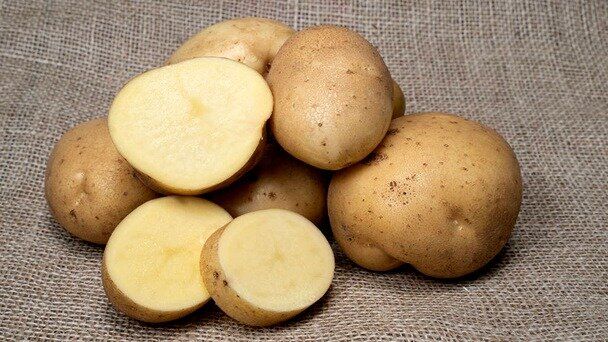 ������ ���� ��� ������ �����: ������� �������� � ������� ��������