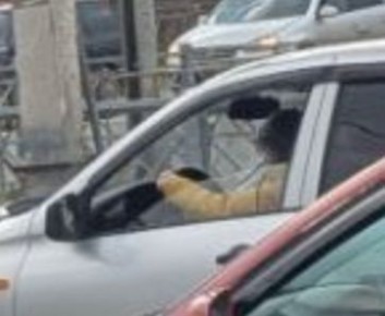 ,  ,     