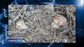 Первые боровики находят в лесах Псковской области