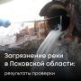 В Службу поступило обращение гражданина о загрязнении реки Каменки в Псковской области