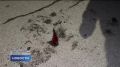 Сводка чрезвычайных происшествий