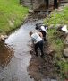 В «Михайловском» ждут первых летних доброхотов