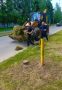 Очень верно сказано про необходимость оперативного включения в работу управляющих компаний