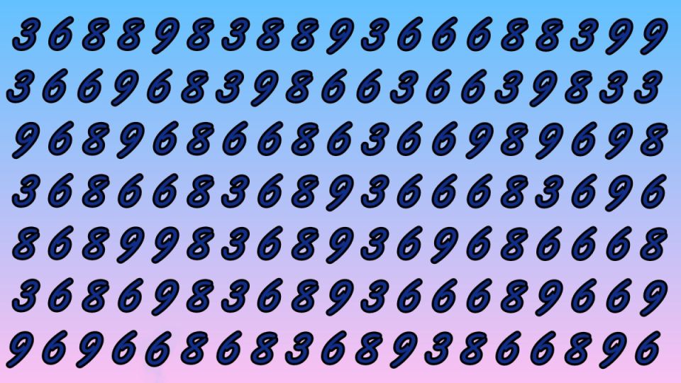     :    5 ,  