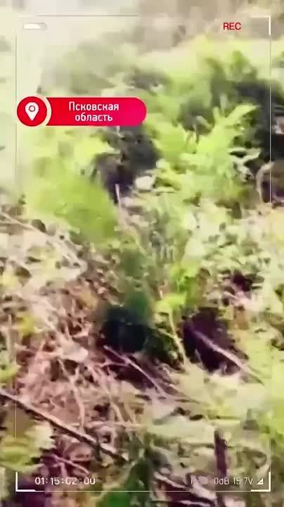            4,5  