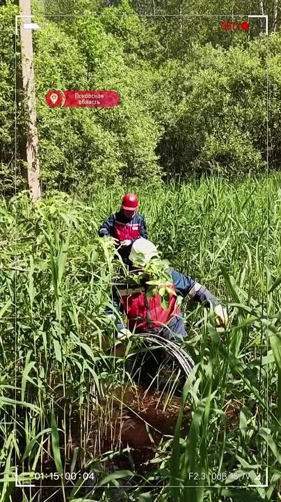  &quot;&quot;        