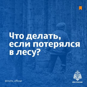      .        ,               :