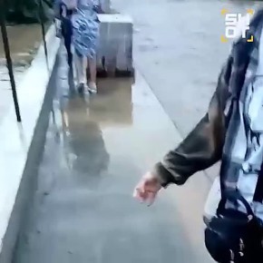   :    ,   