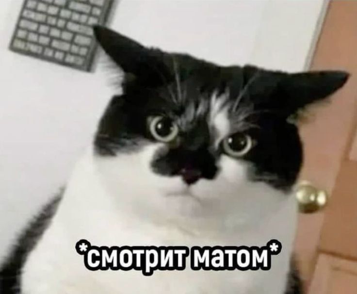   ,    ,       
