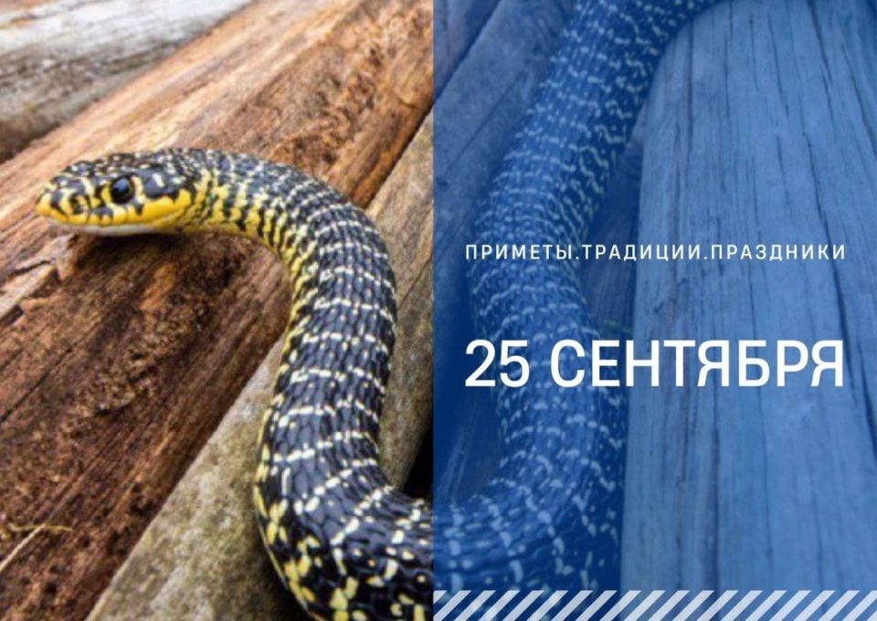 25       ,       