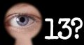  13        