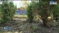"Аллея отцов" появилась в Псковском гуманитарном лицее