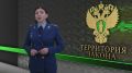 #Территория_закона. Новый выпуск программы «Территория закона» вышел на «Первом Псковском»