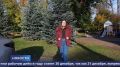 Более 10 уникальных маршрутов для путешествий по Псковской области собрано в специальном разделе «Межсезонье» на портале Путешествуем.рф: инклюзивный, экологический, патриотический и многие другие