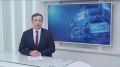 Котята рыси попали в объектив фотоловушки в Псковской области