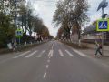 В Псковской области на пешеходных переходах появились муляжи детей, переходящих дорогу